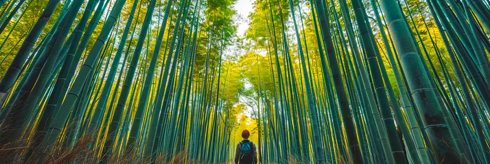 Fotobehang Bambus Wald, grüne Landschaf voller Bäume und grünen Pflanzen  © shokokoart