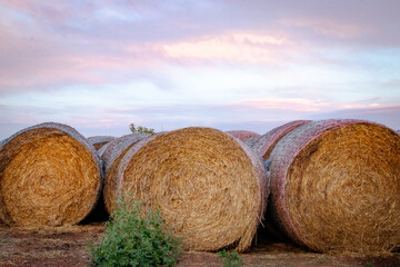 Rustic hay bales from a countryside harvest © EDA