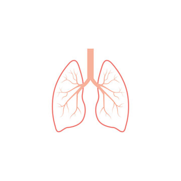 recommend clip art: Human lungs outline icon illustration transparent background.