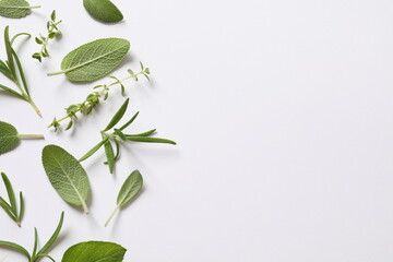 Various herbs on a white background - obrazy, fototapety, plakaty