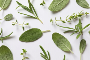 Various herbs on a white background