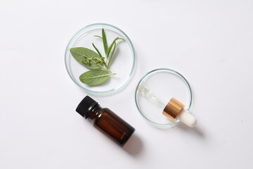 Petri dishes and oil with herbs on a white background