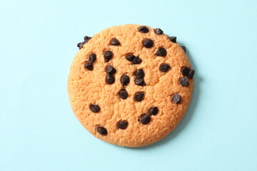 delicate pink hydrangea, close up
