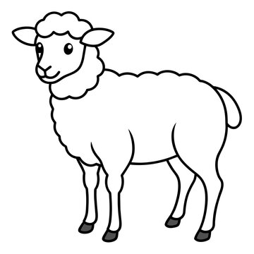 sheep vector illustration