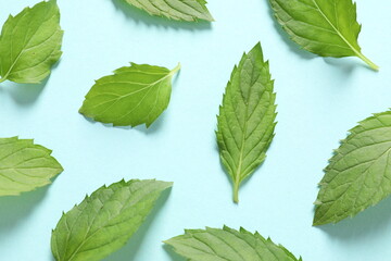Mint leaves on a blue background