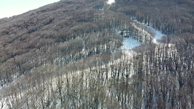 Ripresa aerea bosco di Piano Battaglia Parco delle madonie dopo una nevicata con veduta impianti sciistici innevati al tramonto con colori che regalano una vista mozzafiato suggestiva ed un'atmosfera 