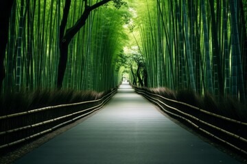 A road through a peaceful bamboo forest, perfect for meditation themes