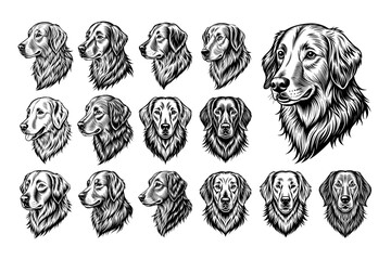 Set of hand drawn golden retriever dog head illustration design