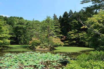 lake in the park