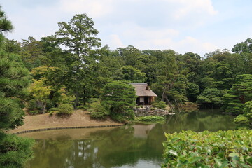 Fototapeta na wymiar Japanese garden