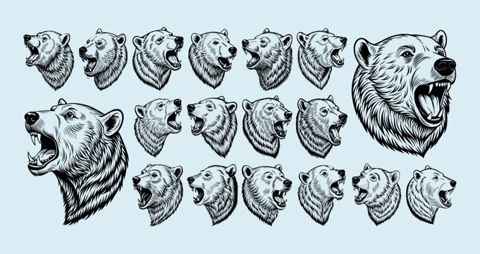 Hand drawn side view roaring polar bear head illustration design set