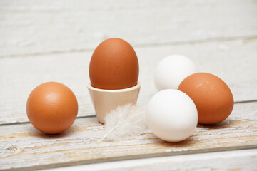 White and brown eggs with white feather