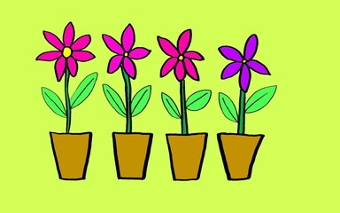 colorful flower plant in a pot with lemon green background