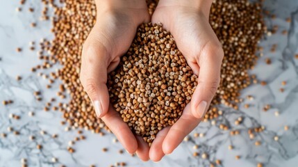 Two hands holding a handful of buckwheat seeds, ready for cooking or planting - obrazy, fototapety, plakaty