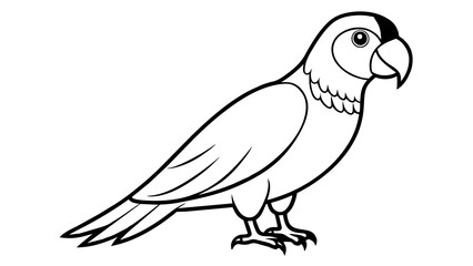 Amazon Parrots Vector Illustration Delights for Your Projects