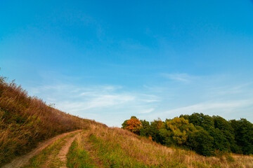 Road on the hill in autumn