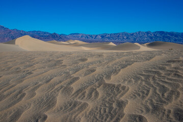 Wind Sculpted Patterns in the Sand