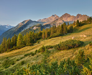Blick vom Plattenkogel zum Rosskopf, Hochkrimml, Venediger Gruppe, Hohe Tauern, Salzburg, Österreich