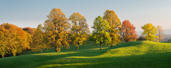 herbstlich verfärbte Bäume im Wienerwald, Zoblhof, Niederösterreich, Österreich