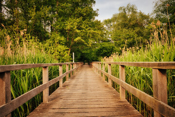 Wooden planks footbridge in a park - Bohlensteg Blankensee bei Trebbin - Herbst - Brandenburg -...