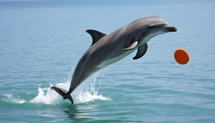 A Dolphin Jumping Out Of The Water To Catch A Fris Upscaled