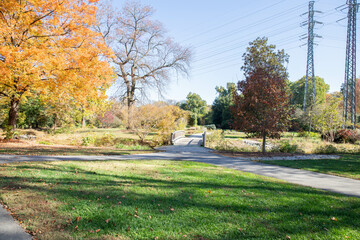 autumn landscape in the park