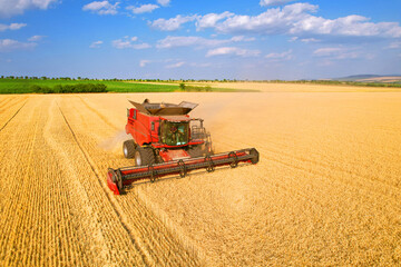 Aerial view of Combine which harvester harvests wheat at sunny day. Agricultural concept.Field...