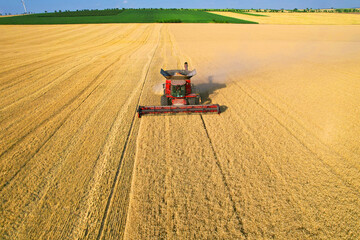 Aerial view of Combine which harvester harvests wheat at sunny day. Agricultural concept.Field machinery landscape.