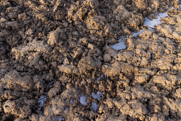 plowed soil in the field for spring sowing
