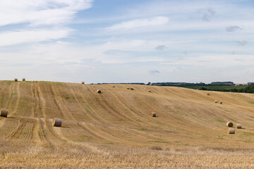 Obraz premium straw stacks in the field after the grain harvest