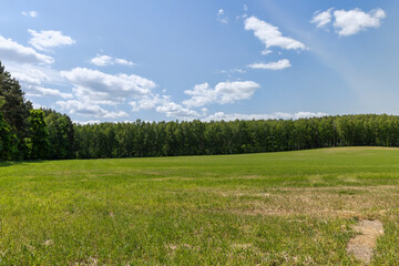 cereal growing business in eastern europe