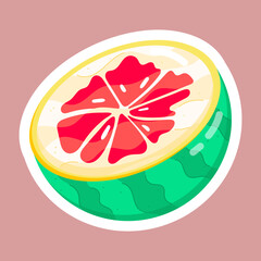  Nutritious Fruits Flat Stickers 
