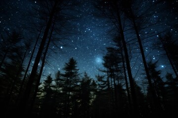 The night sky with stars and trees in the foreground