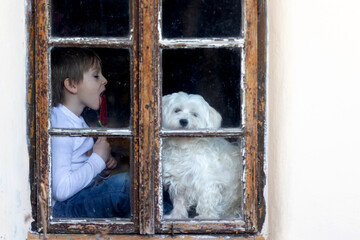 Cute child and maltese pet dog, sitting on the window and eating watermelon lollipop