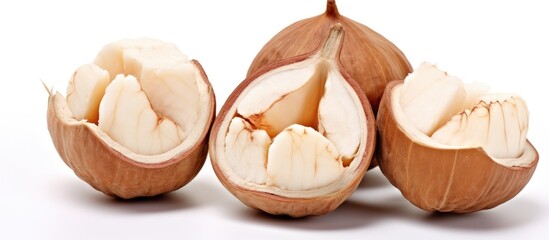 Fototapeta premium Nut shell with peeled aleurites moluccanus on white background