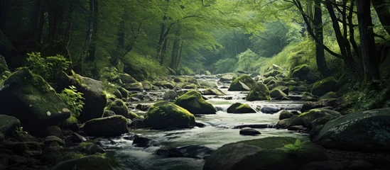Fotobehang A tranquil river flowing through a dense woodland © Ilgun