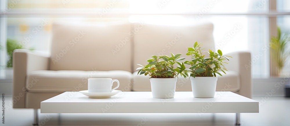 Canvas Prints Three plants and a coffee cup on a coffee table