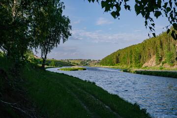 Tranquil Riverbank: Greenery and Sunlit Serenity