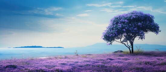 Violet flowers field and lone tree by sea