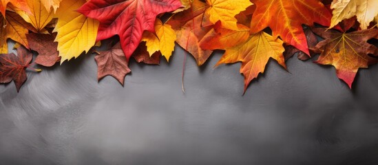 Close-up foliage on dark surface, autumn leaves on concrete background - Powered by Adobe