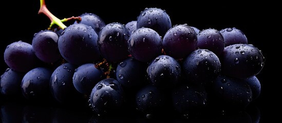 Close-up of water-droplet covered bunch of grapes - obrazy, fototapety, plakaty