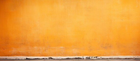 A black cat on an orange wall with a white border