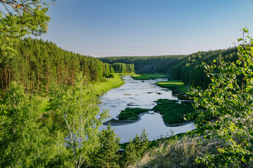 Tranquil River in Verdant Summer Woodlands