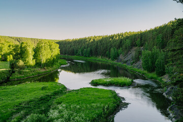 Tranquil River in Verdant Summer Woodlands