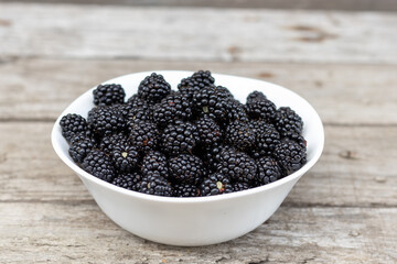 ripe and unripe blackberries on bushes with selective focus. A bouquet of berries.Natural background