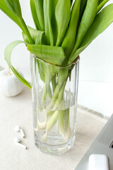 transparent glass vase with tulips