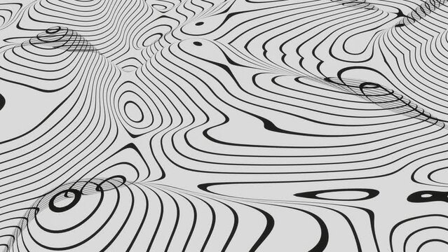 3d black and white abstract wallpaper. Outline Topographic geography map. Moving waves on white background. Liquid alien terrain texture pattern. Animation loop 30fps 4k