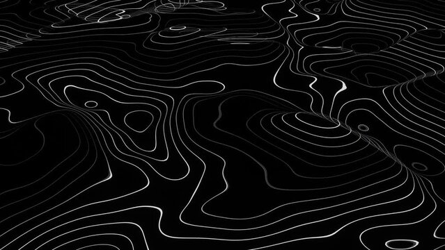 3d abstract wavy liquid neon white lines on black background. Topographic geography map landscape. Sci-fi alien zebra texture retro futuristic outline in space. Animation loop 30fps 4k