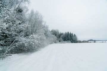 Field near snow covered forest