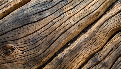 old vintage ebony africa wood tree timber structure texture background wallpaper